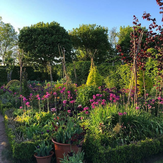 Screenshot_2018-07-16 Monty Don on Instagram “Jewel Garden sundown”